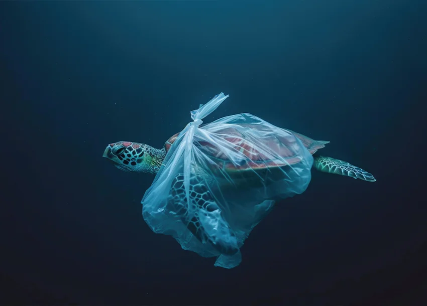 Il polmone blu soffoca - l’invasione della plastica