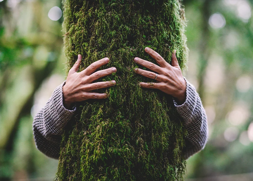 Treedom - Gli alberi non si piantano da soli